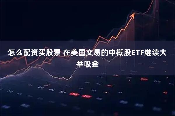 怎么配资买股票 在美国交易的中概股ETF继续大举吸金