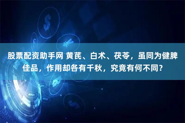 股票配资助手网 黄芪、白术、茯苓，虽同为健脾佳品，作用却各有千秋，究竟有何不同？